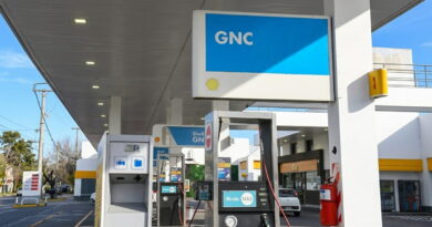 Surtidores de GNC en una estación de servicio Shell, con cartelería de Gas Natural Comprimido y dispensers de la línea Rinde Más, en un día soleado.