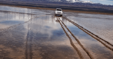 "Camioneta 4×4 blanca dejando huellas de neumáticos en la Pampa de Leoncito, con la cordillera nevada al fondo.