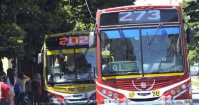 Colectivos de las líneas 202 y 273 detenidos en una parada sobre avenida arbolada del conurbano bonaerense