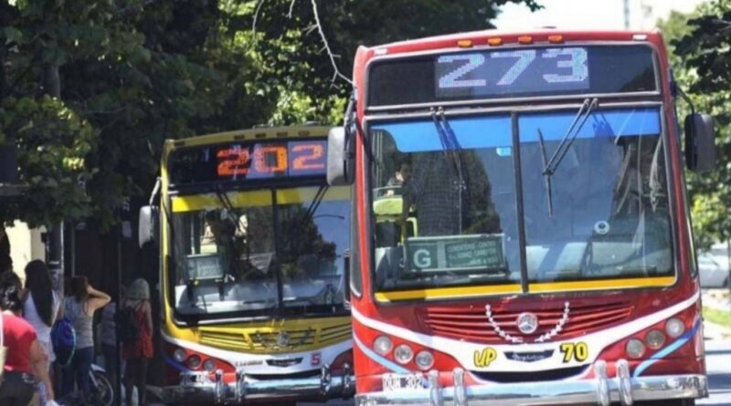 Colectivos de las líneas 202 y 273 detenidos en una parada sobre avenida arbolada del conurbano bonaerense