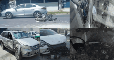 Collage con cuatro imágenes de siniestros viales ocurridos en La Plata: choque entre auto y motocicleta, luneta trasera destrozada, dos vehículos con frentes destruidos tras una colisión, y parabrisas quebrado.