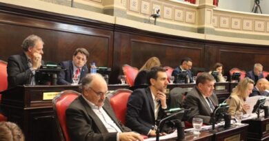 Senadores bonaerenses en sesión durante el debate de la ley de VTV en el recinto del Senado de la Provincia de Buenos Aires.